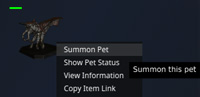 Right click menu on Pet Statue